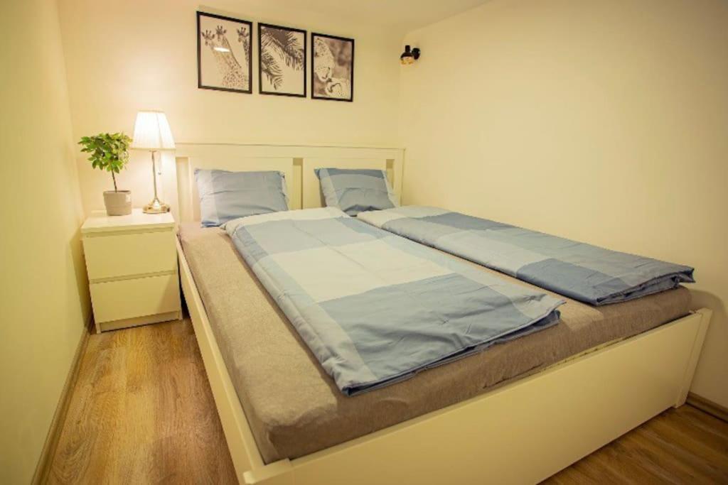 Cosy 2 Bedroom Flat In Akacfa St., Sol Budapest Esterno foto