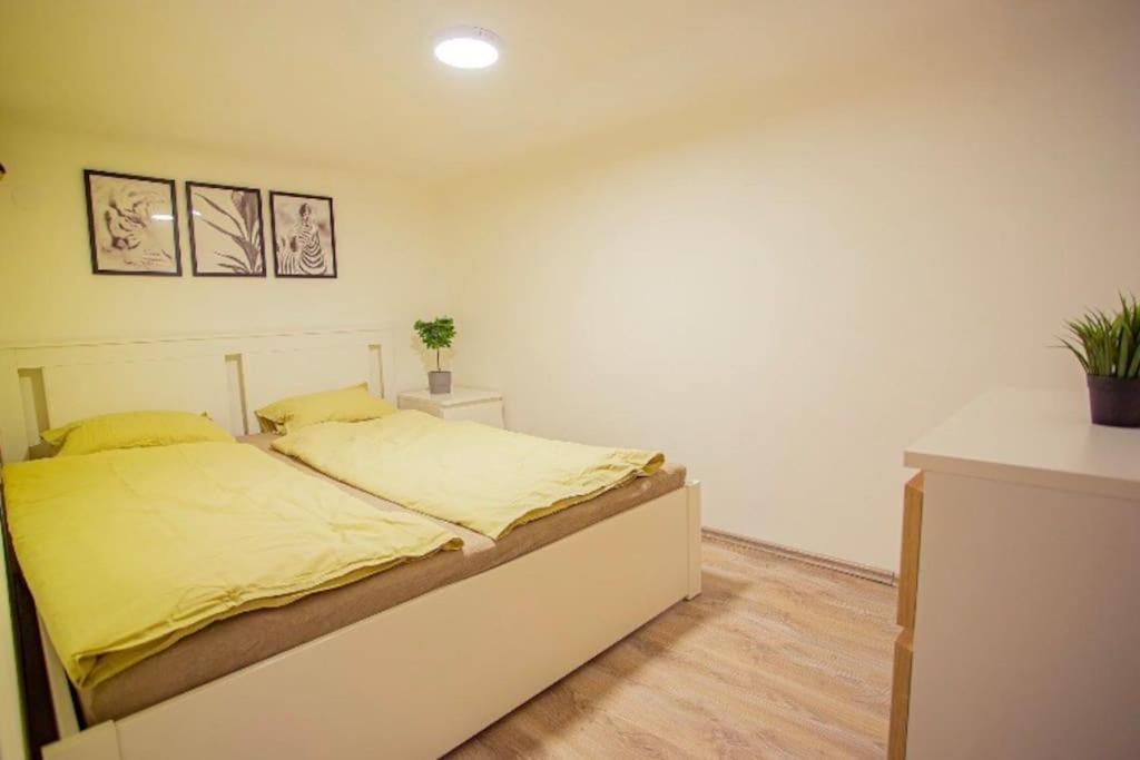 Cosy 2 Bedroom Flat In Akacfa St., Sol Budapest Esterno foto